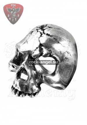 Разрущающийся череп кольцо Alchemy Gothic